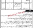 Latest Public Sector Organization Jobs 2023