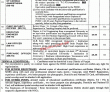 Latest Punjab Institute Of Cardiology Jobs 2023