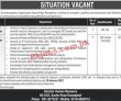 Latest Sco Jobs 2023 | Special Communication Organization Headquarters Announced Latest