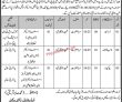 Latest Swd jobs 2023 | Social Welfare Department jobs 2023 | Social
