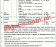 Latest Sya Department Jobs 2023 | Sports And Youth Affairs Department