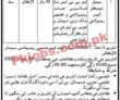 Latest Shaheed Mohtarma Benazir Bhutto Institute Of Trauma Smbbit jobs 2023
