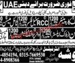 Latest Sharjah And Riyadh jobs 2023