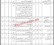Latest Sindh Employees Social Security Institution Sessi Jobs 2023