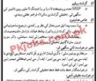 Latest Sindh Higher Education Commission Shec jobs 2023
