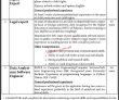 Latest Social Welfare Department Jobs 2023