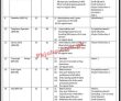 Latest Supreme Court Of Pakistan jobs 2023