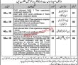 Latest Tevta Jobs | Job Openings At Technical Education &