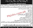 Latest Tourism Department jobs 2023