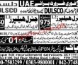 Latest Uae & Abu Dhabi Jobs 2023