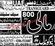Latest Uae jobs 2023 | United Arab Emirates Jobs