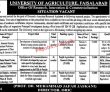 Latest University Of Agriculture Uaf Jobs