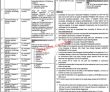 Latest University Of Sahiwal jobs 2023