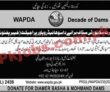Latest Wapda Dasu Hydropower Jobs 2023 | Wapda Dasu Hydropower