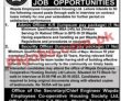 Latest Wapda Employees Cooperative Housing Society Jobs 2023