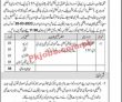 Law Justice And Human Rights Head Office Announced Latest Recruitments