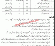 Levies Force Announced Latest Management & Support Staff Pk Jobs