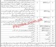 Levies Force jobs 2023