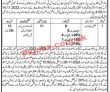 Live Stock Jobs 2022 | Live Stock Department Headquarters Announced