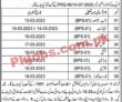 Livestock Department Jobs 2023 | Livestock & Dairy Development Department