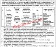 Livestock Pk Jobs 2021 | Livestock & Dairy Development Department