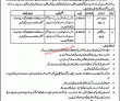 Livestock Pk Jobs 2021 | Livestock & Dairy Development Head