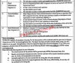 Local Government Election & Rural Development NTS PK Jobs 2021