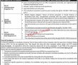 Local Government Elections & Rural Development Department PK Jobs 2021