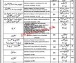 Local Government Jobs 2022 | Local Government Board Department Head