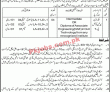 Local Government and Rural Development Department PK Jobs 2021