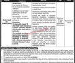 Mepco Jobs 2022 | Mepco Electric Power Supply Company Head