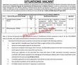 Mnfsr Jobs 2022 | Ministry Of National Foods & Security