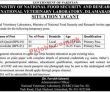 Mnfsr Pk Jobs 2021 | Ministry Of National Food Security