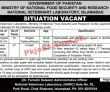 Mnfsr Pk Jobs 2021 | Ministry Of National Food Security