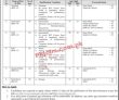 Moit Jobs 2023 | Ministry Of Information Technology & Telecommunication