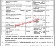 Most Latest Jobs 2023 | Ministry Of Science And Technology Jobs 2023