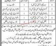 Mailsi Army Public School And College Apsandc New Government Today