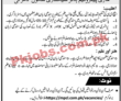Mari Petroleum Company Limited Head Office Announced Latest Advertisement Jobs