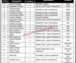 Medical Emergency Resilience Foundation (MERF) Management PK Jobs 2021