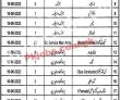 Mianwali University Of Govt Jobs 2022 Advertisement Pk Jobs