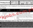 MicroMerger Pvt Limited Management & Consultancy PK Jobs 2021