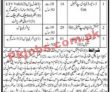 Military Pk Jobs 2021 | Border Military Police Department Management