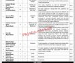 Ministry Of Energy Petroleum Division Saindak Metals Limited Head Office