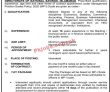 Ministry of Finance Management PK Jobs 2021