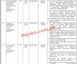 Ministry Of Human Rights Jobs 2023