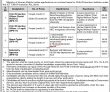 Ministry Of Human Rights Latest Jobs 2023