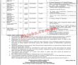 Ministry of Human Rights Management PK Jobs 2021