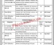 Ministry Of Industries & Trade Development Headquarters Announced Latest Advertisement