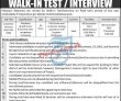 Ministry Of Interior Head Office Announced Latest Management Pk Jobs
