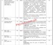 Ministry Of Interior National Crisis Information Management Cell Head Office